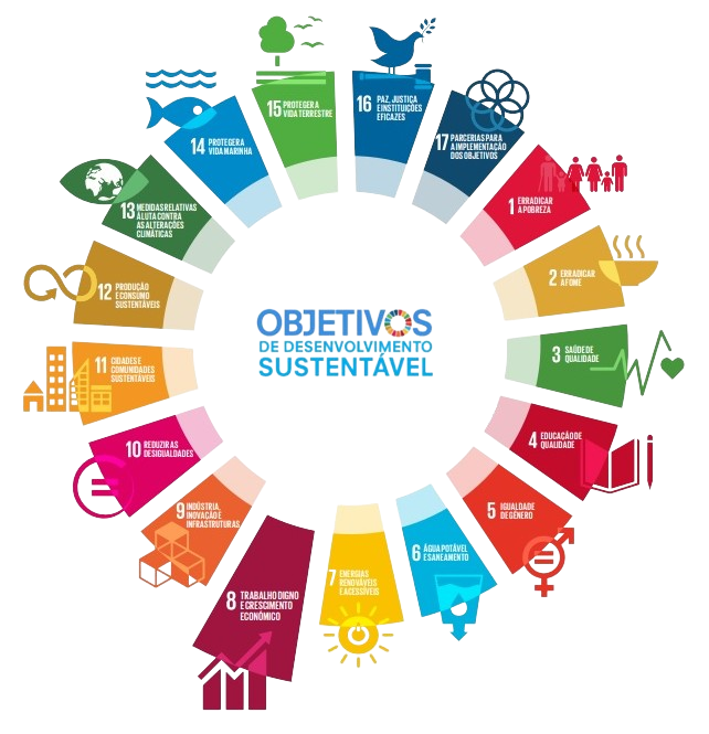 Os 17 objetivos de desenvolvimento sustentável